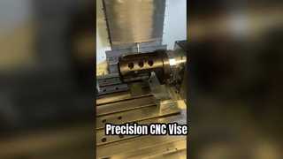Precisione di precisione della morsa CC Precisione di 000 mm