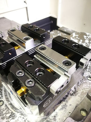 3Kg Infissi Asse 50mm Intervallo Di Bloccaggio Morsa A 4 Assi Acciaio Inossidabile